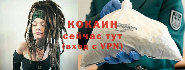 mdpv Горняк