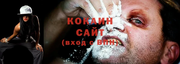 гидра Гусиноозёрск