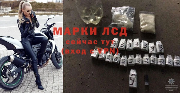 кокс Гусев