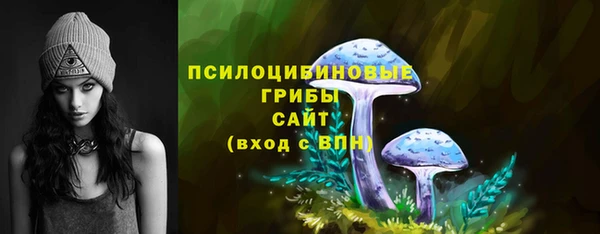 mdpv Горняк