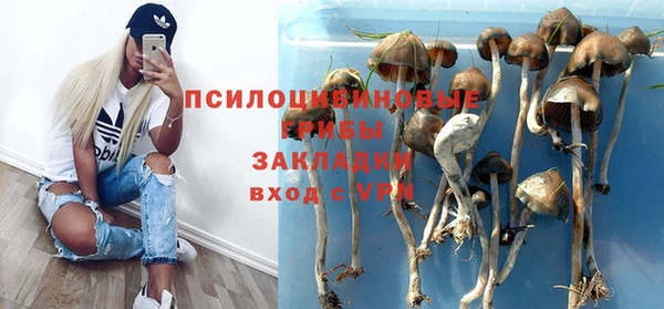 мдпв Горно-Алтайск
