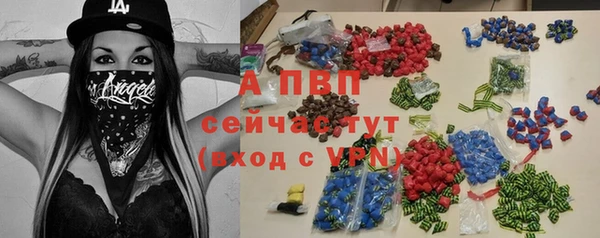 мдпв Горно-Алтайск